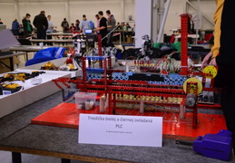DSC 0113