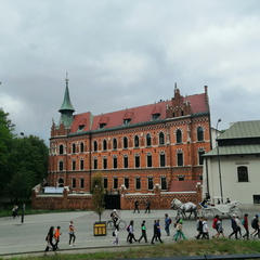 Exkurzia-Krakow-Wawel2