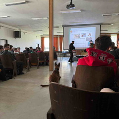 picture18