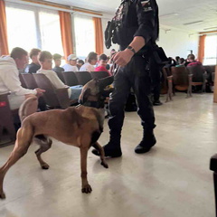 picture20