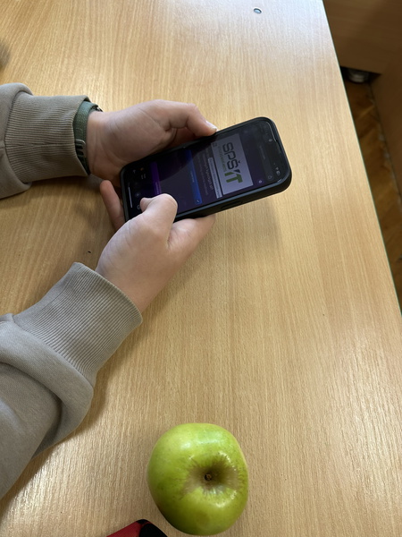 zs_oscadnica (2).JPEG