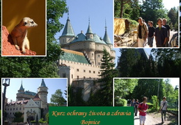 KOŽZ - ukazuje fotografie v koreňovom adresári tohto albumu KOŽZ